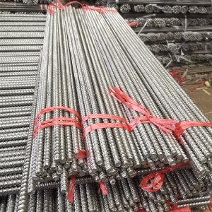 <strong><font color='#33CC00'>ľ��˿��ĸ�� ��10 ľ��˿���׹�</font></strong>